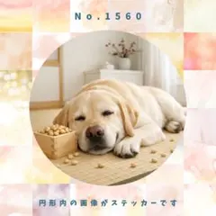 Item thumbnail for item 6070300b-c391-4198-a0f2-02174052b1f7