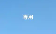 専用 ソフィーナip ベースケアセラム 土台美容液 180gほか