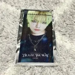 &TEAM ミニタペストリーキーリング　ニコラス　アプグレ特典　NICHOLAS