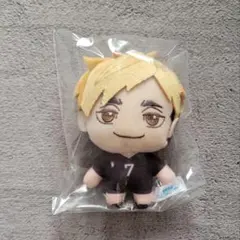 宮侑　ぬいぐるみ