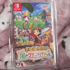 風のグランドバザール テレビゲーム