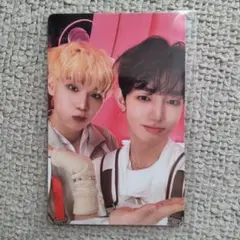 h様 リクエスト 2点 まとめ商品