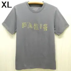 NIKE ナイキ ジョーダン パリ サンジェルマン 半袖Tシャツ XL グレー