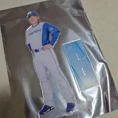 野村佑希 アクスタ ゲームクリア ビッグアクリルスタンド