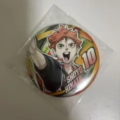ハイキュー!! 日向翔陽 ファンパーク コレクション缶バッジ