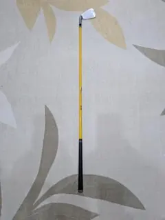 Item thumbnail for item d2512665-ff92-43f3-bf5e-caae40a4b92b