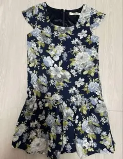 Item thumbnail for item 2d940710-1034-4116-96d1-c4aa36b46ecc