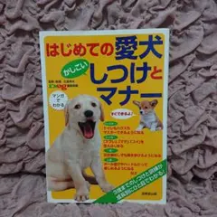 Item thumbnail for item 07c81c9f-a594-4520-915c-b6e2d4a3cd0d