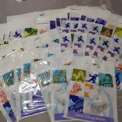 ディズニーリゾート　ショッパー