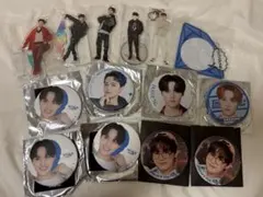 まとめ売り】SEVENTEEN セブチ ディノ アクスタ 缶バッジ セット