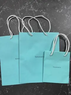 2026年最新】TIFFANY ショップ袋・ショッパーの人気アイテム - メルカリ