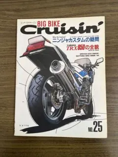 BIG BIKE Cruisin' No.25 ニンジャカスタムの疑問
