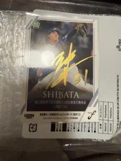 競艇 野田彩加選手 サイン - メルカリ