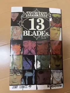 部屋が片付けられない マチュピチュ66様 リクエスト 2点 まとめ商品