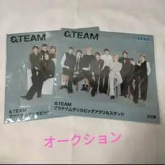 &TEAM プラチナムザッカビッグアクリルスタンド 2点 コンプ エンティーム