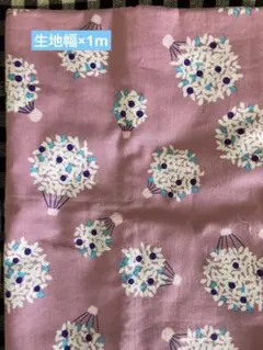 Item thumbnail for item 8600feab-7f98-4f79-bf63-7aba31e5f6d2