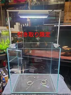 ADA 水槽台&ライトセット（お引き取り限定） 引き取り限定 ADA 60cm 水槽 GEX水槽台 チャームライトスタンドセット