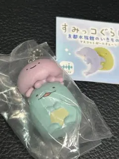 すみっコぐらし　ミズクラゲととかげ　京都水族館限定