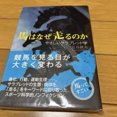 Item thumbnail for item fb39370b-dd5e-4b84-9aa9-b3f2519a400f