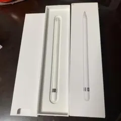 IPAD PRO APPLE PENCIL