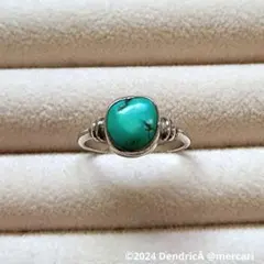 2026年最新】スパイダーウェブターコイズの人気アイテム - メルカリ