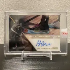 Shai Gilgeous-Alexander Sneaker auto SGA