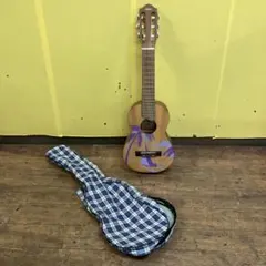 Elite エリート（タカミネ）ジャパンヴィンテージアコギ ケース サイン