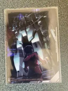 イタジャガ 機動戦士ガンダム N デスティニーガンダムSpecII＆シン・アスカ