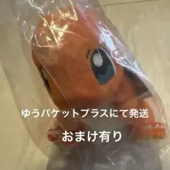 一番くじ ポケモン C賞ヒトカゲ ぬいぐるみ ポケットモンスター