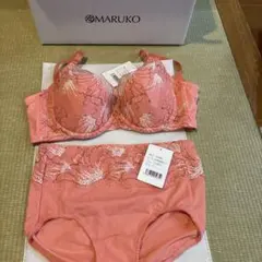 41-353：マルコ☆背中割れ　ボディースーツ　D75L