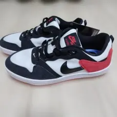 Nike ナイキ SB アリウープ スニーカー 25cmのサムネイル