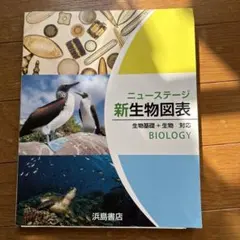 Item thumbnail for item ff654b6f-f5d6-4acc-8587-e89db5ad6da3