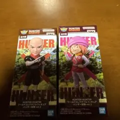 n*★様 HUNTER×HUNTER ワールドコレクタブル フィギュア　ハンター