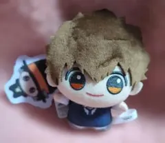 家庭教師ヒットマンREBORN! ちびぐるみ　沢田綱吉