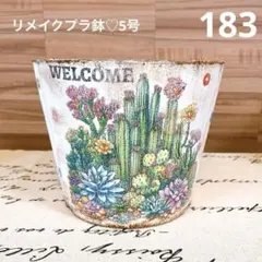 183❇️多肉植物柄♡リメイクプラ鉢♡5号のサムネイル