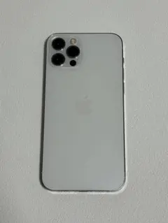 Apple iPhone 13 Pro ジャンク　部品取り