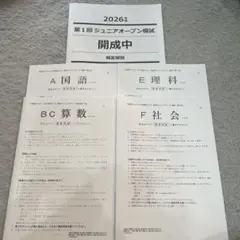 2026年最新】開成 ジュニアオープンの人気アイテム - メルカリ
