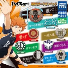 ハイキュー!! TO THE TOP 高校モチーフ ピンバッジ 8個セット
