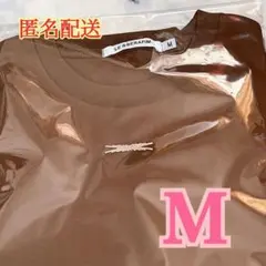 Item thumbnail for item 4fa7a2d5-525e-4d50-b3e9-c7390a94efaa