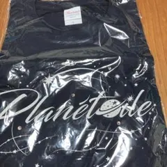 Item thumbnail for item 0fe2e05b-a49d-4b5f-85ce-1e0258c8cd9f