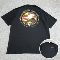 ALSTYLE アルスタイル　Tシャツ 企業　白頭鷲 星条旗　黒 ys92