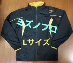 Item thumbnail for item f4bd3581-1616-45eb-94fd-b0aad86158bc