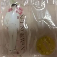 SEVENTEEN スングァン アクスタ