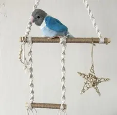 Item thumbnail for item cd7fe03d-c32a-47d9-9d0e-d66078a89b54