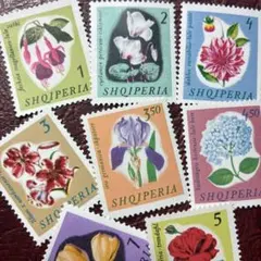 76508セール現品限　外国切手　アルバニア発行花8種揃