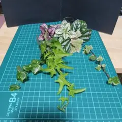 りれん様 リクエスト 2点 まとめ商品