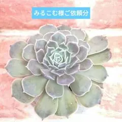 みるこむ様 リクエスト 2点 まとめ商品