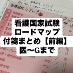 【訳あり】看護　国試　ロードマップ　まとめノート　B5　語呂合わせ【前編】