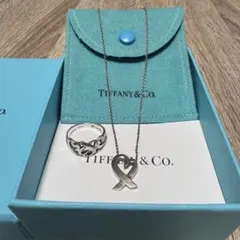 Tiffany & Co. シルバー925 リング・ネックレスセット