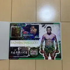 RIZIN ジャンボシールダズ　ラジャブアリ・シェイドゥラエフ選手のサムネイル
